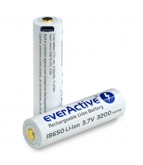 18650 3200mAh baterija ar micro USB everActive