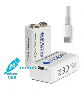 Litija akumulatora USB uzlādējama 550mAh everActive 6F22