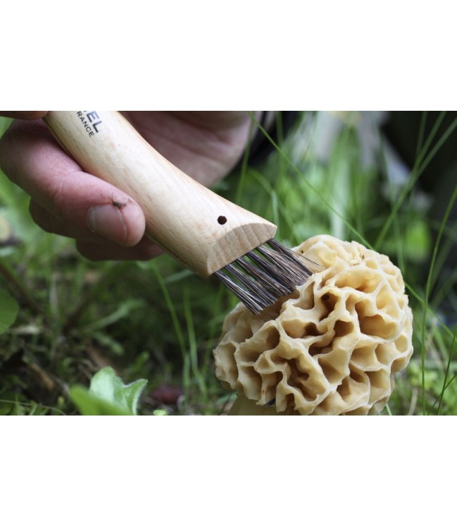 Mushroom knife OPINEL No 08 (8 CM)