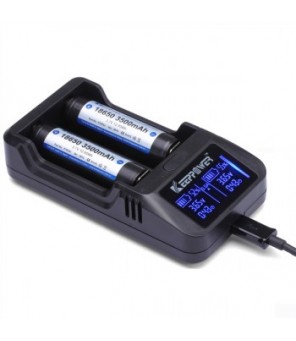 L2 Plus Intelligent Li-ion rechargeable battery USB charger 2 Amp