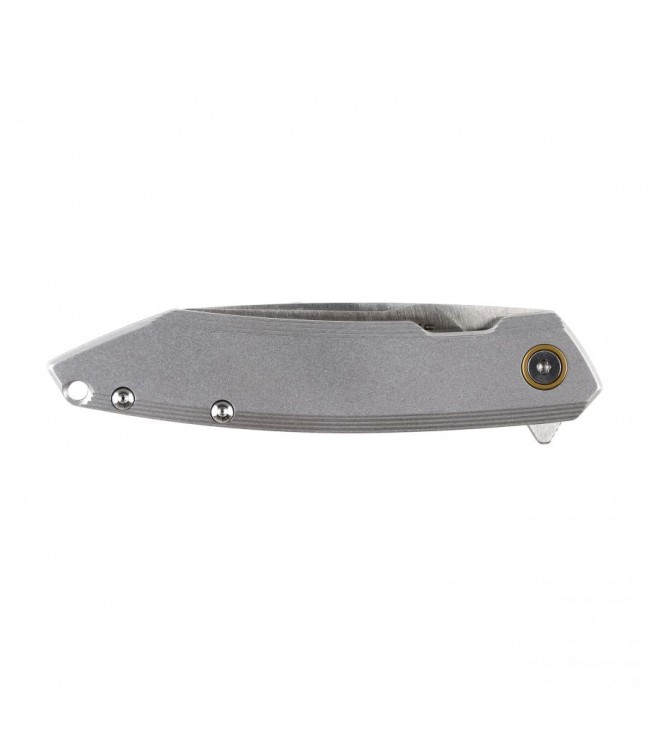 Ruike P831S-SA knife