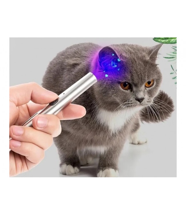 USB rechargeable ultraviolet flashlight with magnet